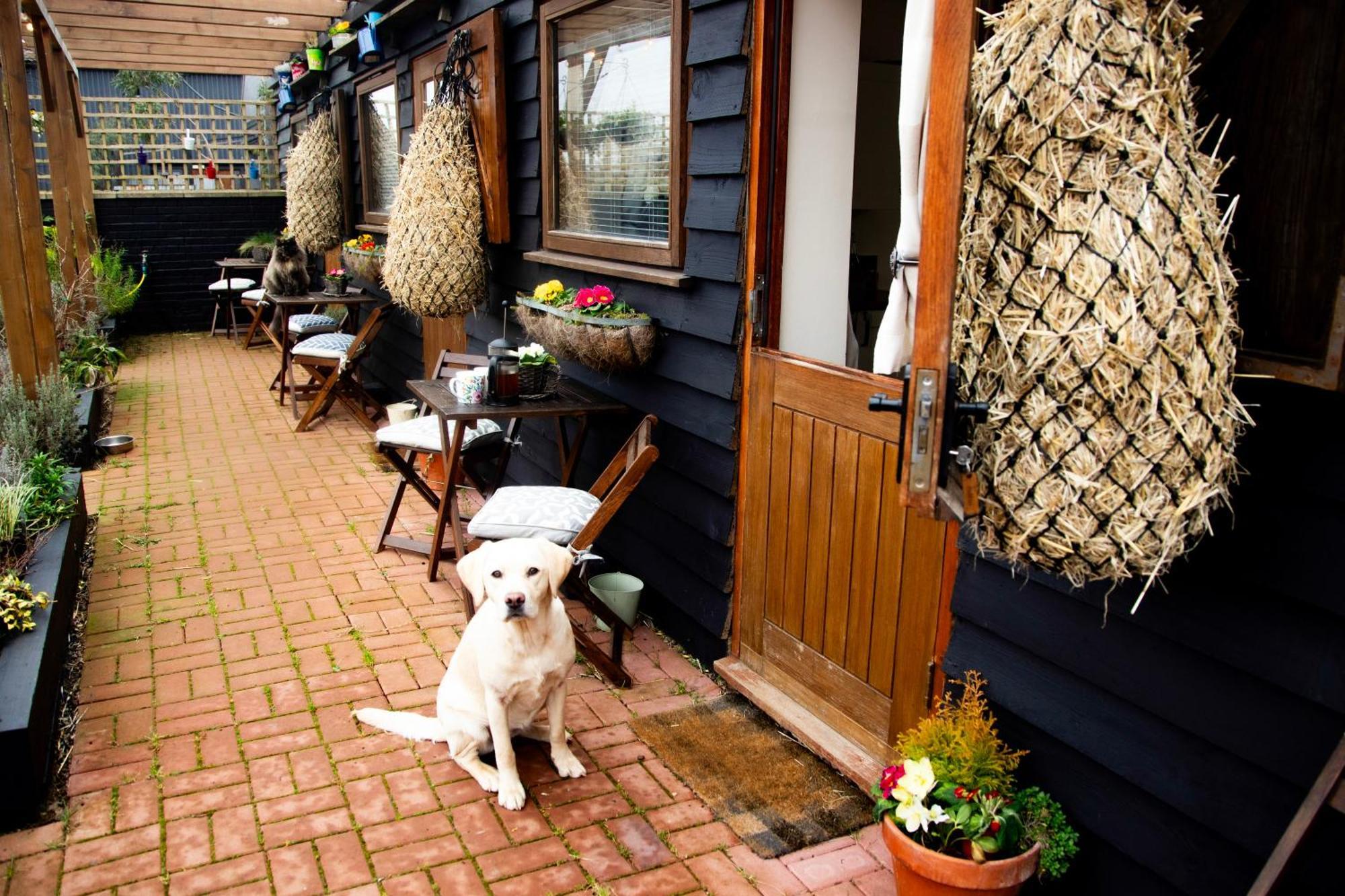 Norfolk Accommodation Heacham Ngoại thất bức ảnh